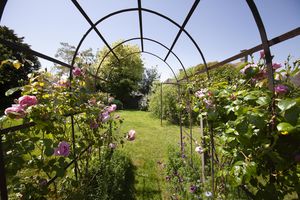 My Lady's Cottage_Garden- click for photo gallery